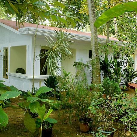 Jickys Nest Hotel Varkala Szoba fotó