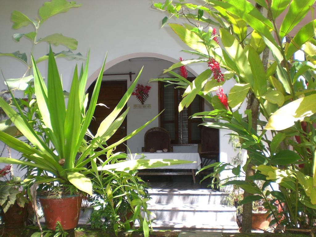 Jickys Nest Hotel Varkala Szoba fotó