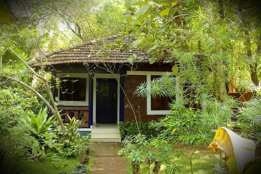 Jickys Nest Hotel Varkala Szoba fotó