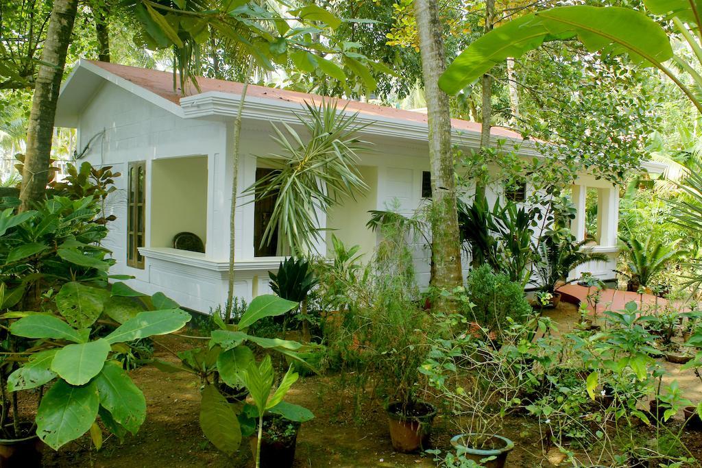 Jickys Nest Hotel Varkala Szoba fotó