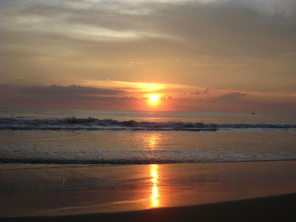 Jickys Nest Hotel Varkala Kültér fotó
